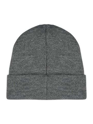 ONOMATO! Wintermütze Jurassic World Beanie in Grau