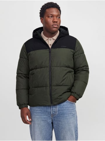 JACK & JONES PLUS Steppjacke in Rosin