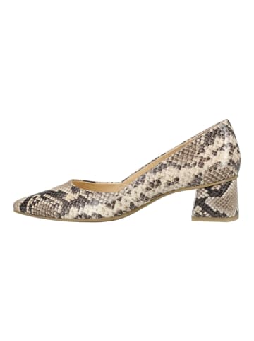 Pumps Beige