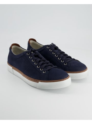 Pius Gabor Sneaker low in Blau