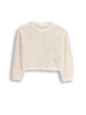 Coccodrillo Strickpullover in ecru