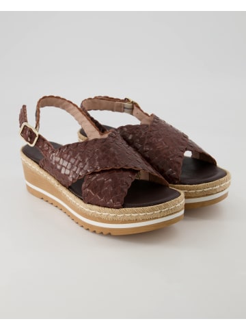 Terry Offene Schuhe in Braun