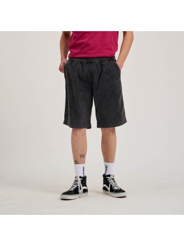 Santa Cruz Short "Chill Shorts" in Grau