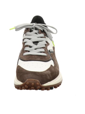 Floris van Bommel Sneaker in mehrfarbig