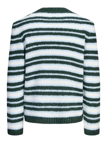 Jack & Jones Strickpullover in Pine Grove