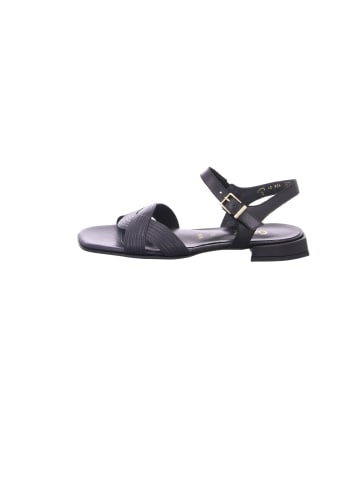 Gabor Riemchen Sandalen für Damen in beige
