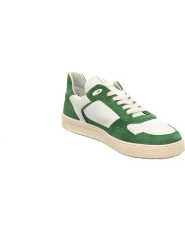 Sioux Sneaker Low in weiß