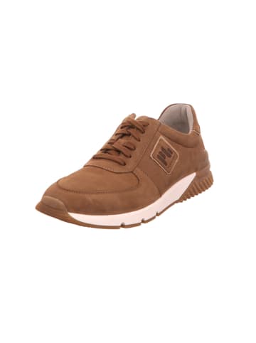 Gabor Sneaker für Herren in braun