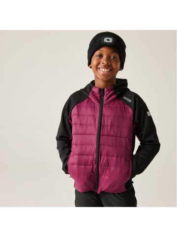Regatta Kielder IX Hybrid Jacke in Dunkelrot