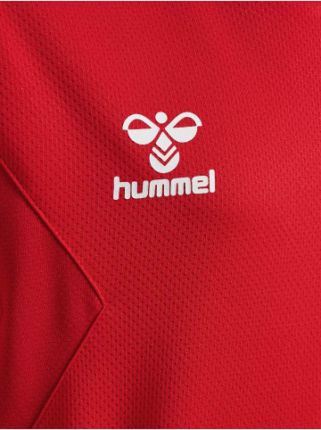 Hummel Hoodie Hmlauthentic Pl Hoodie Kids in TRUE RED