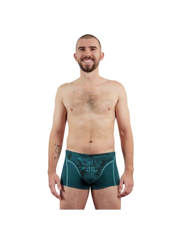 EIN SCHÖNER FLECK ERDE Boxershort 1er Pack in Wilder Kaiser (Petrol)