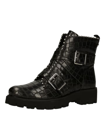 Steve Madden Stiefelette in Schwarz/Schwarz