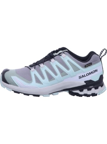 SALOMON Sport-Schuhe Schuhe XA PRO 3D V9 GTX W Qush/Lily in Grün