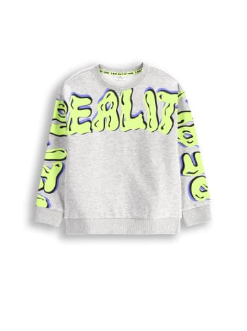 Coccodrillo Sweatshirt in grau