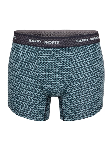 Happy Shorts Retro Pants Trunks in Dusty Mint Triangles