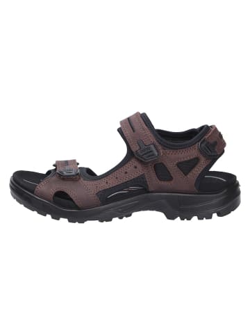 Ecco Sandale OFFROAD in braun