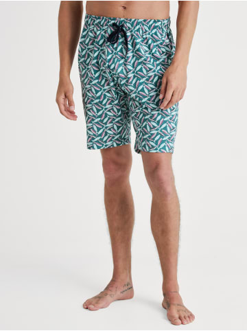 Calida Bermudas in philo green