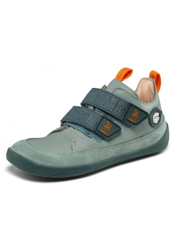 Affenzahn Klettschuh Buddy Hase in Grün