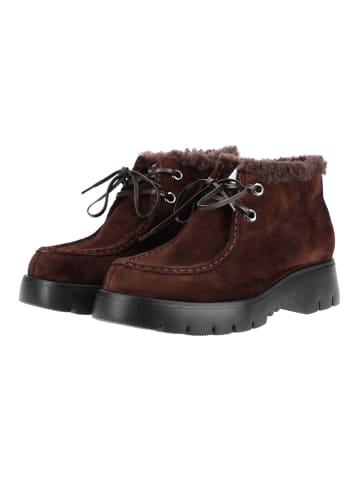 Högl Stiefelette 2-102435 in Braun