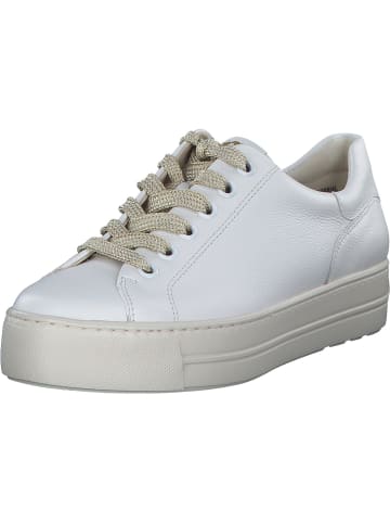 Paul Green Schnürschuhe in white/oro