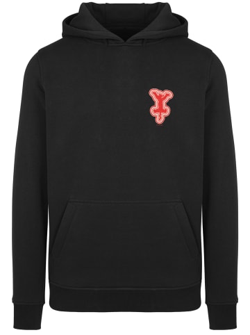 F4NT4STIC Hoodie Disney Winnie Puuh Der Bär Tigger Brust Druck in schwarz