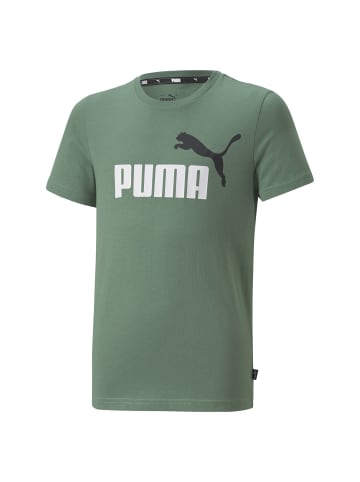 Puma T-Shirt in Grün (Deep Forest)