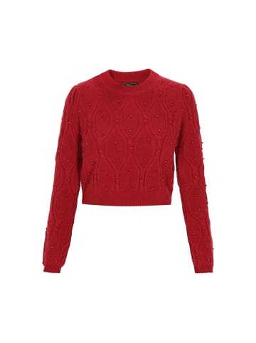 faina Women Sweater in burgundy
