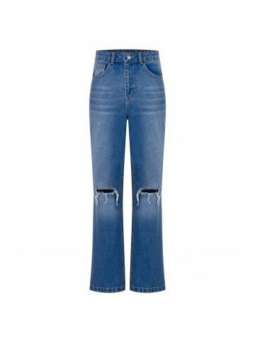Freshlions Jeans Sofia in light blue