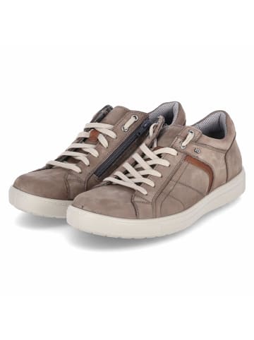 Jomos Low Sneaker in Beige