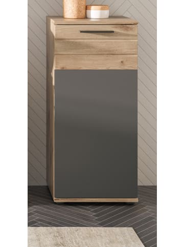 Inn.Furn Unterschrank Eiche grau 37 x 87 cm, Kommode mit Soft-Close, Badmöbel
