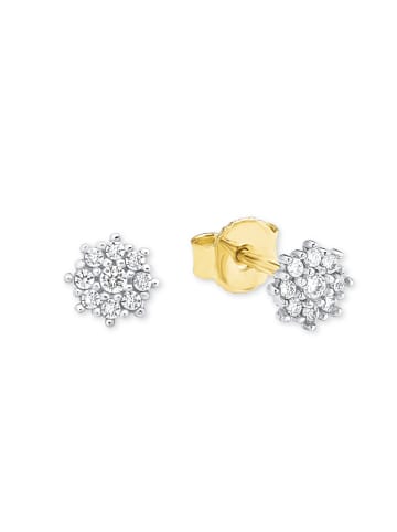 Amor Ohrstecker Gold 375/9 ct in Gold