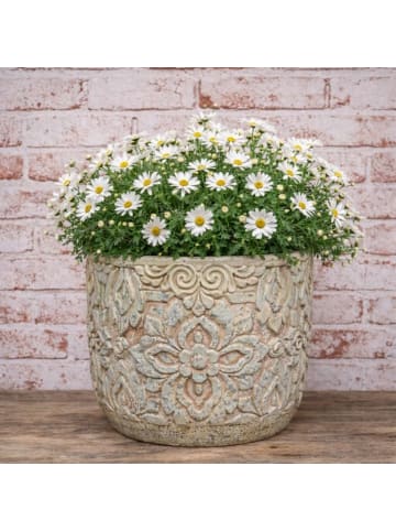 AltoBelli Blumentopf FIORENZA Antik Grau Patina Zement 17x16 cm