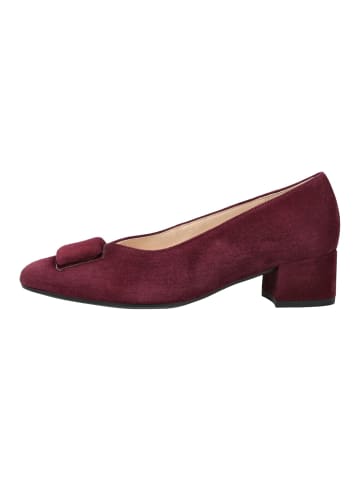 Gabor Pumps in Bordeaux