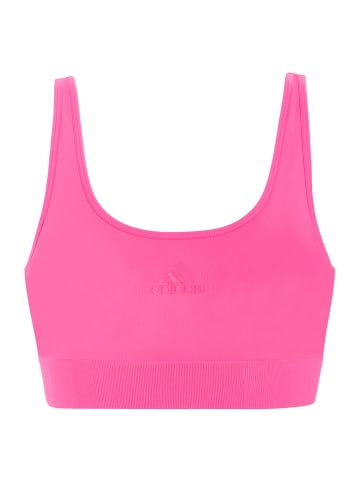 adidas Bustier SCOOP LOUNGE BRA in lucid pink