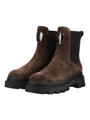 BLAUER USA Stiefelette KIMMEL Dunkelbraun