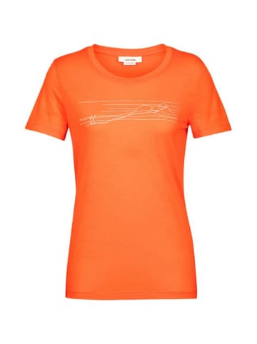 icebreaker T-Shirt W Tech Lite II SS SkiStripes in Orange
