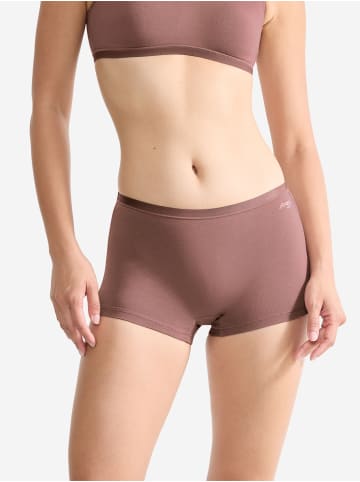 Sloggi Retro Pants GO Daily Cotton Short in CACAO
