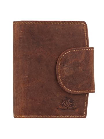 Greenburry Geldbörse Leder 9 cm braun