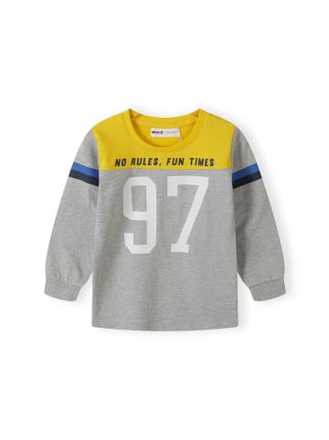 Minoti Longsleeves Nordic 4 in grau