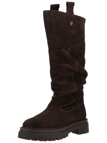 Steve Madden Stiefel KIONA in Dunkelbraun