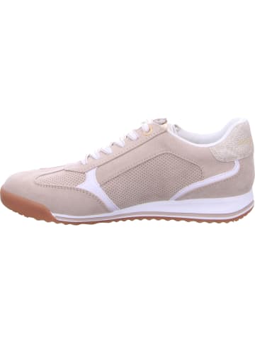 Marco Tozzi Schnürschuhe in DUNE