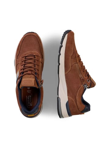 Camel Active Sneaker mit leichter Sohle in Braun