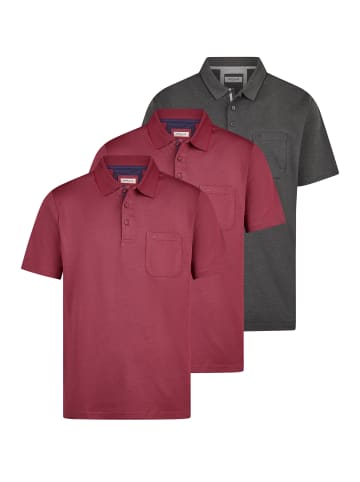 Redmond Poloshirt Basic in Dunkelrot / dunkelgrau