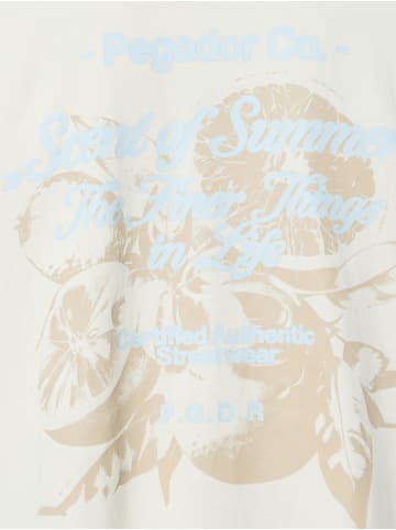 PEGADOR T-Shirt Rando in ecru