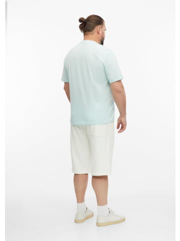 s.Oliver T-Shirt in 6437_helles türkis