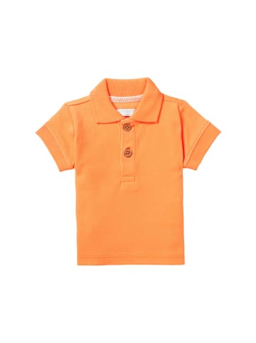 Noppies Poloshirt Berryville in Tangerine