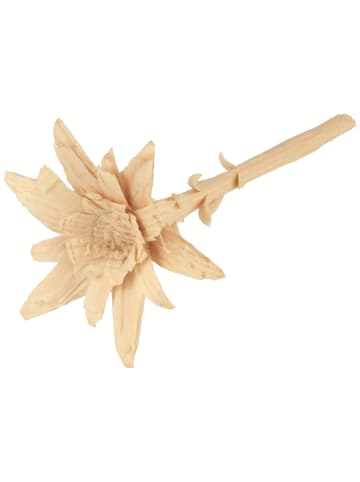 BREITER Hutanstecker in beige