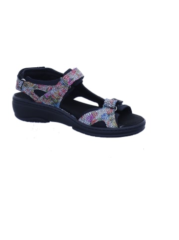 Fidelio Sandalen in multi