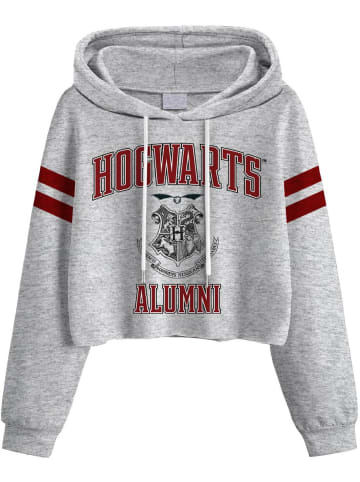 Harry Potter Hoodie in Grau