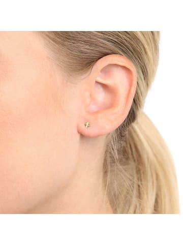 Amor Ohrstecker Gold 375/9 ct in Gold